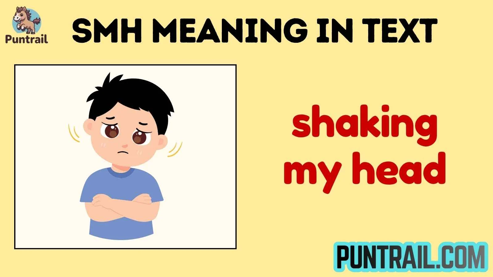 smh meaning in text
