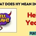 what does hy mean in text