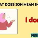 what does ion mean in text