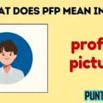 what does pfp mean in text