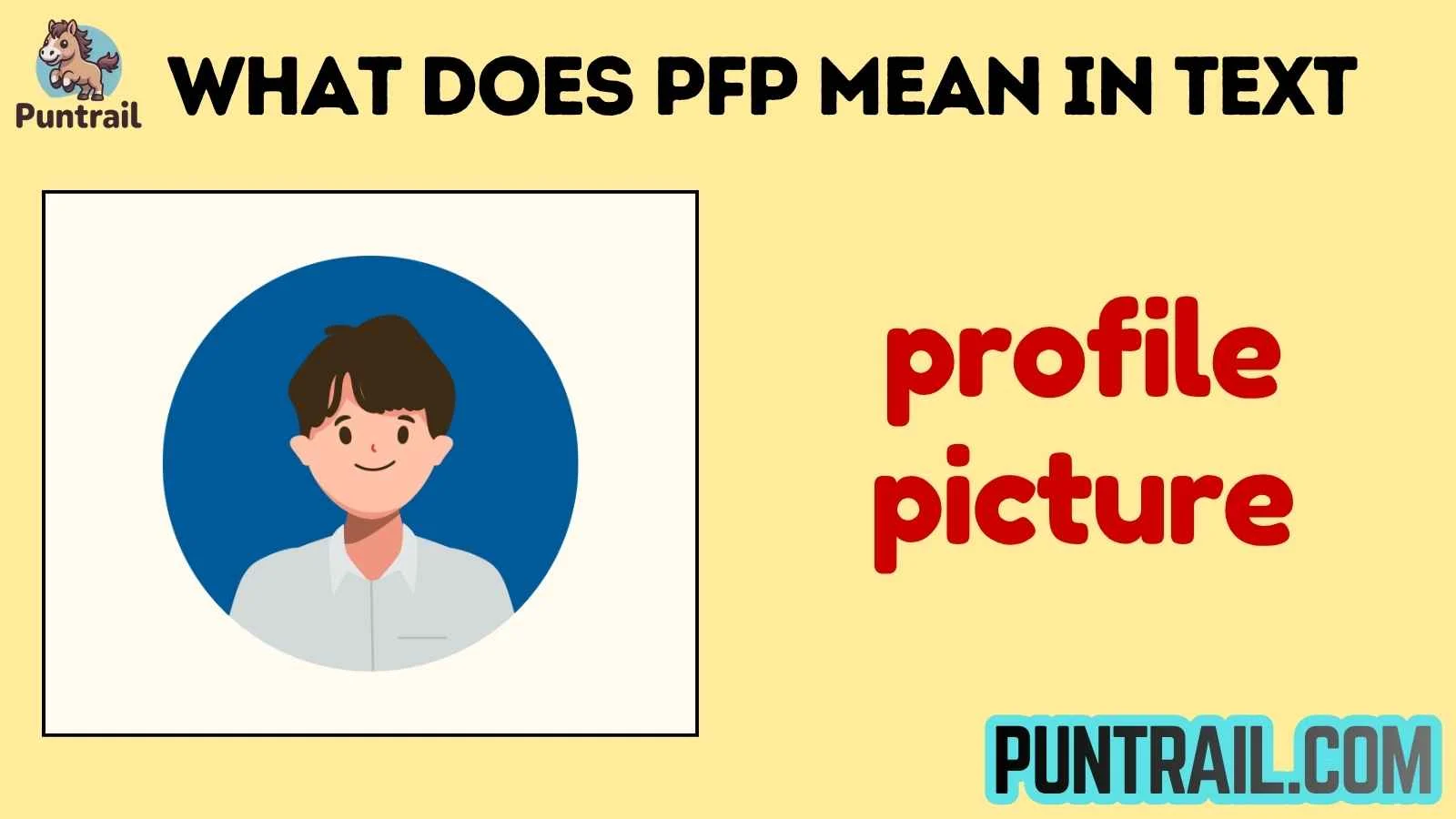 what does pfp mean in text