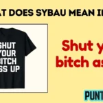 what does sybau mean in text