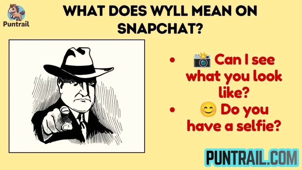 What Does WYLL Mean on Snapchat?
