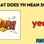 what does yh mean in text