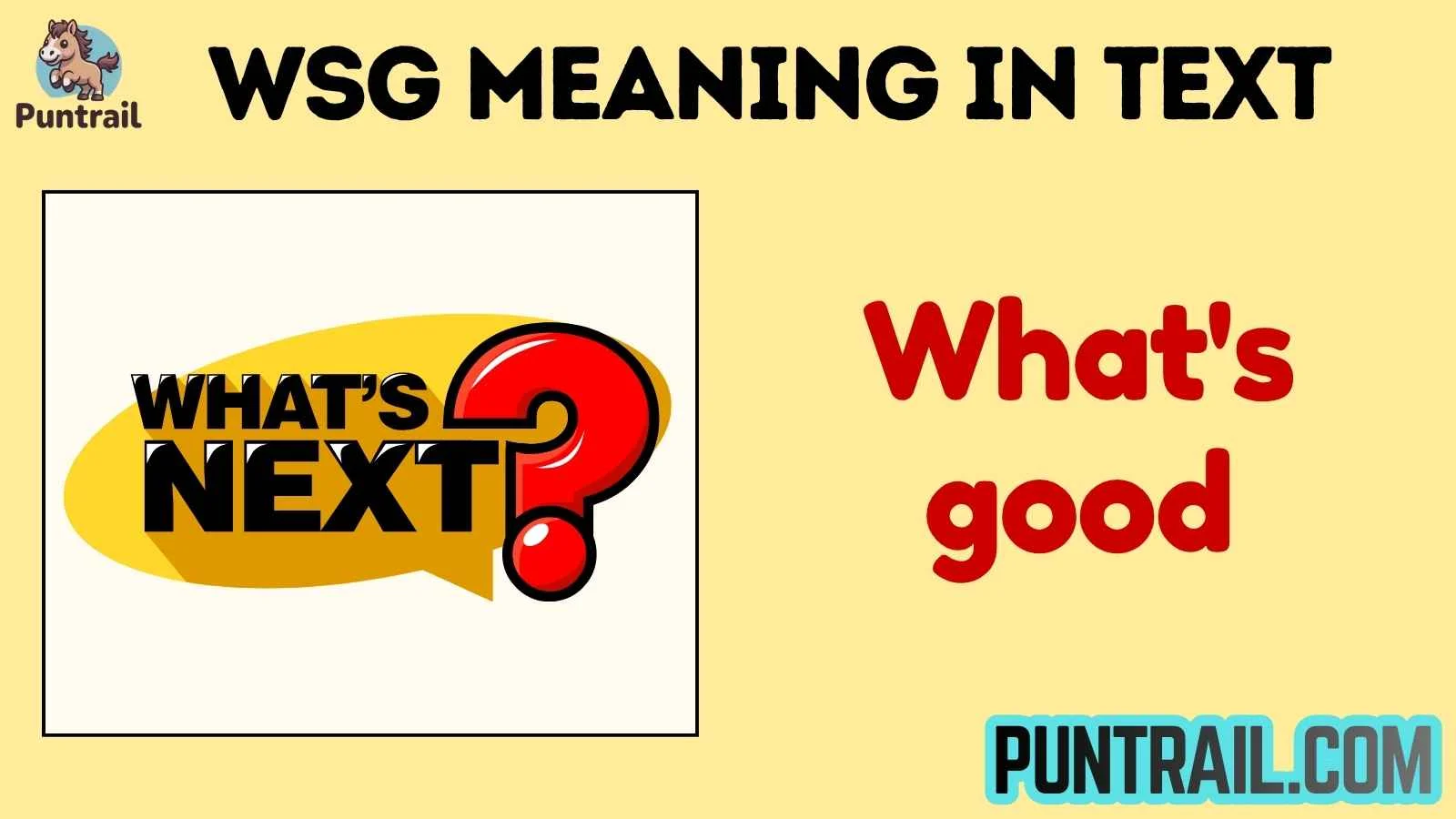 wsg meaning in text
