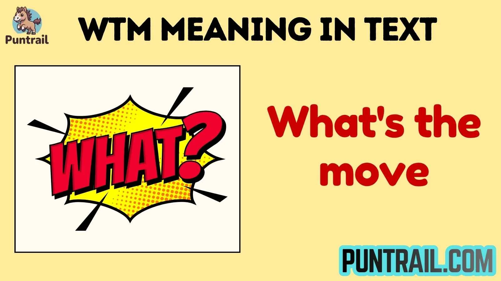 wtm meaning in text