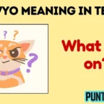wyo meaning in text