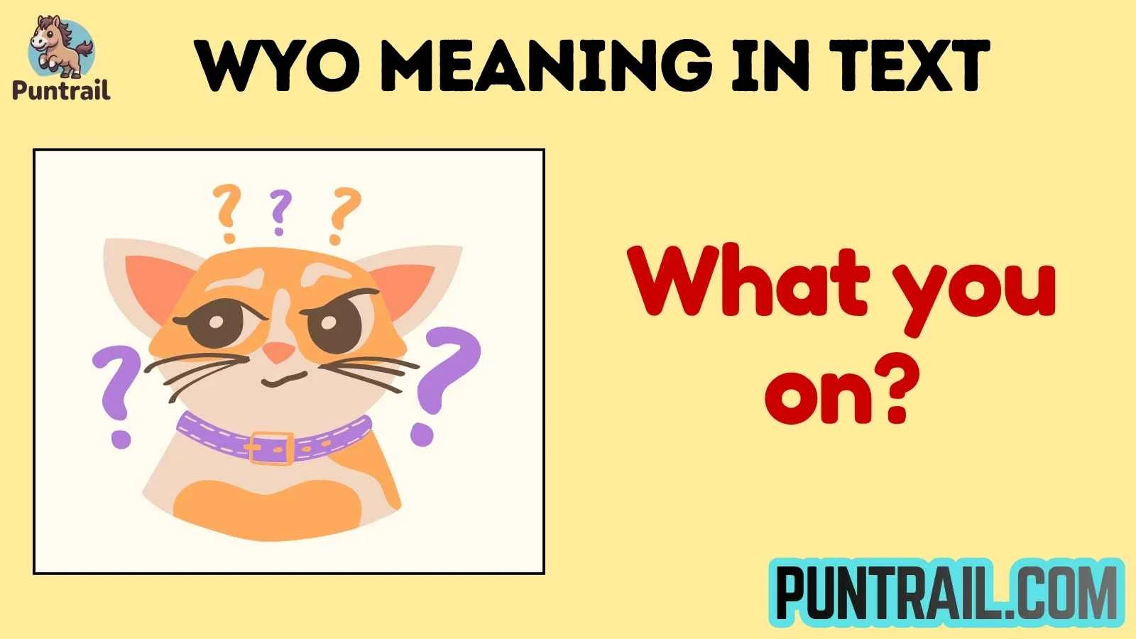 wyo meaning in text