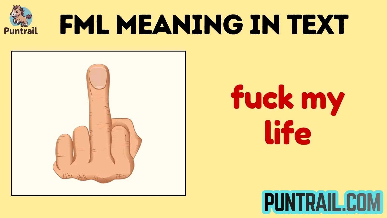 fml meaning in text