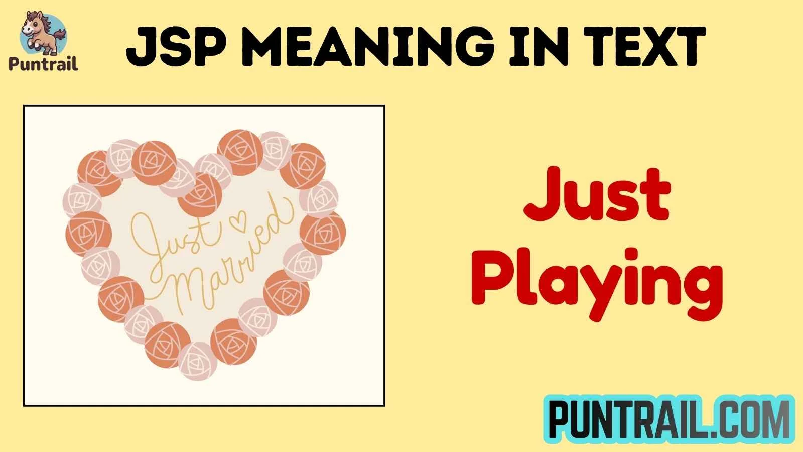 jsp meaning in text