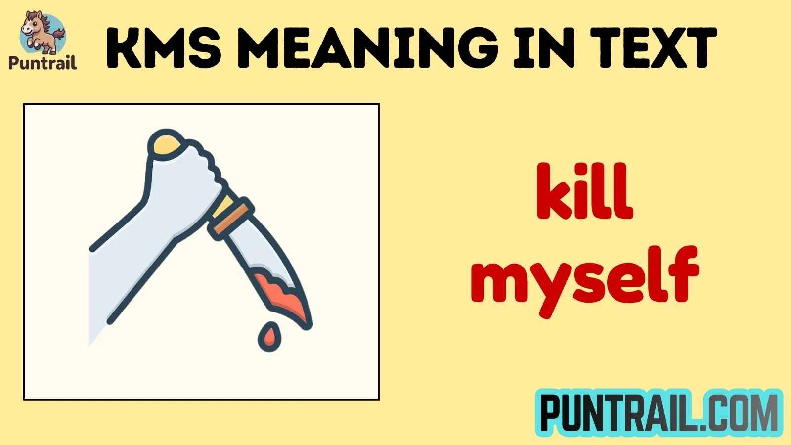 kms meaning in text