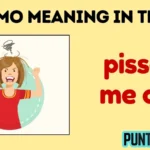 pmo meaning in text