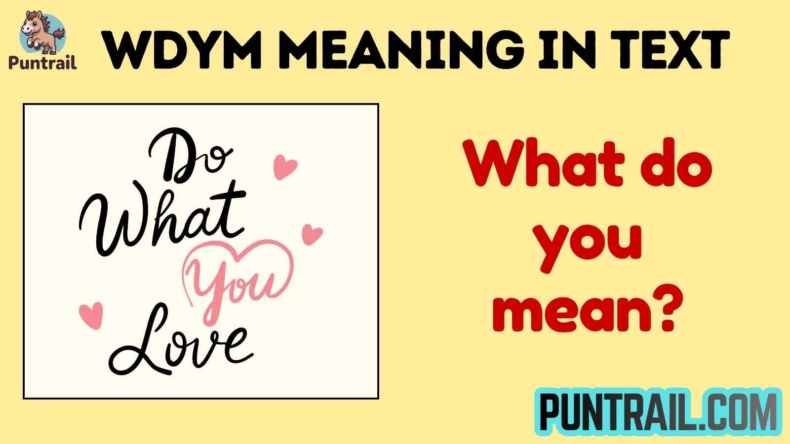 wdym meaning in text