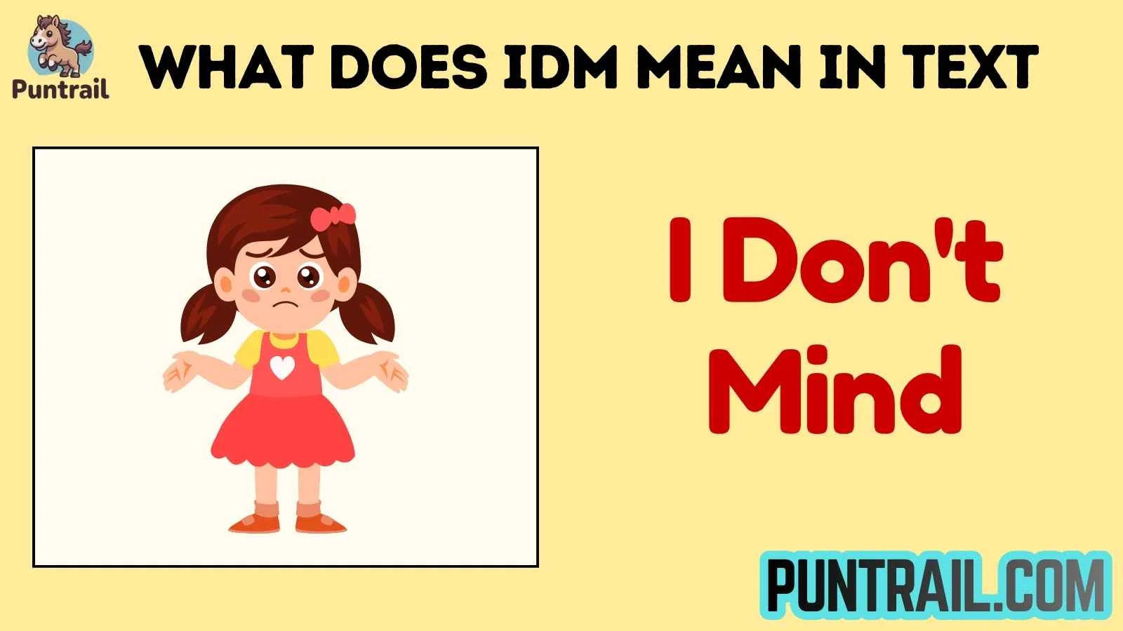 what does idm mean in text