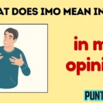 what does imo mean in text