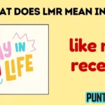 what does lmr mean in text