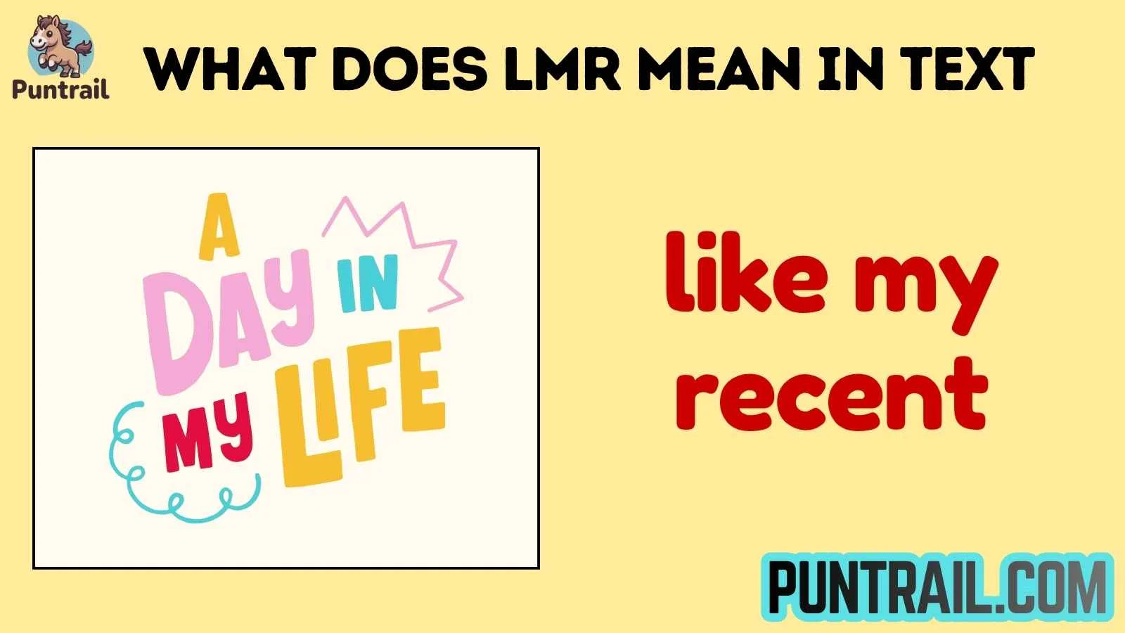 what does lmr mean in text