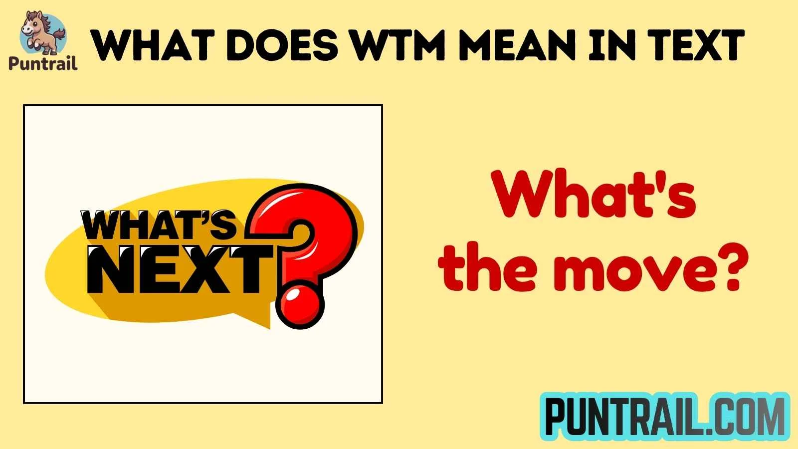 what does wtm mean in text