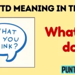 wtd meaning in text
